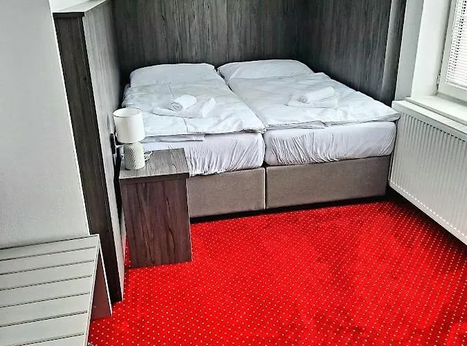 Hotel Orka 3*